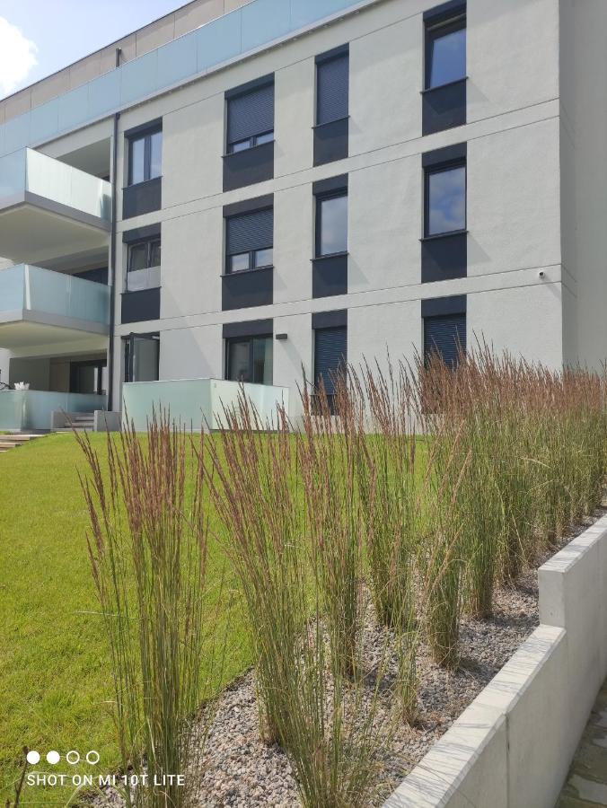 Apartament Tecza Реваль Экстерьер фото